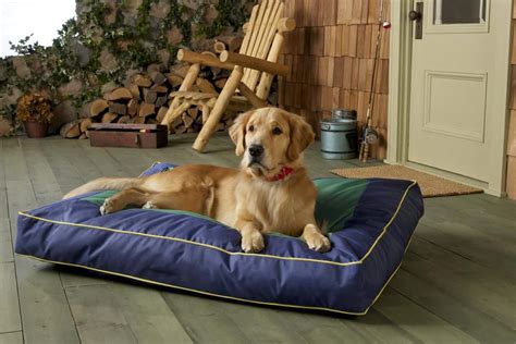 best dog beds for dogs.